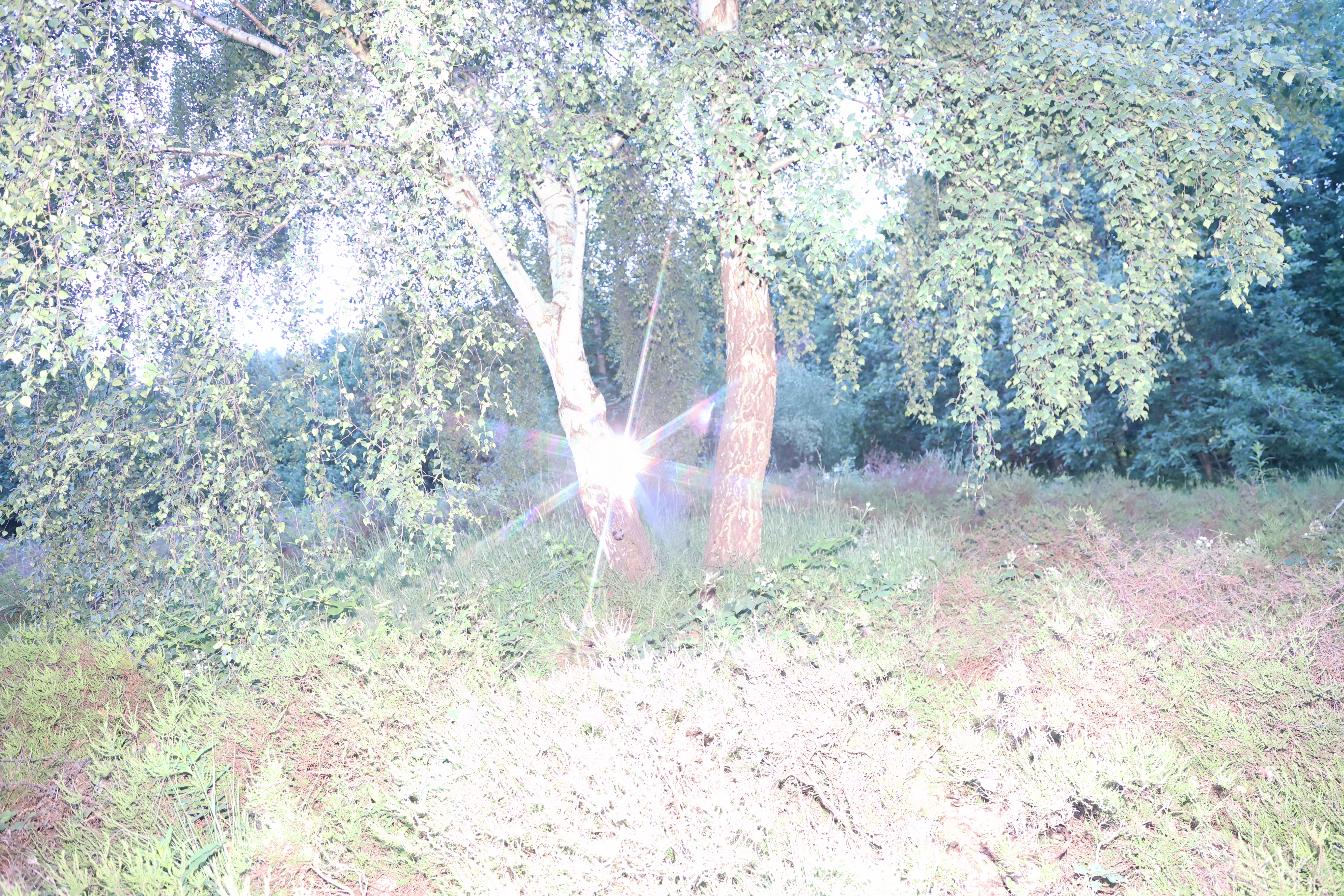 Fallen Star project image 3